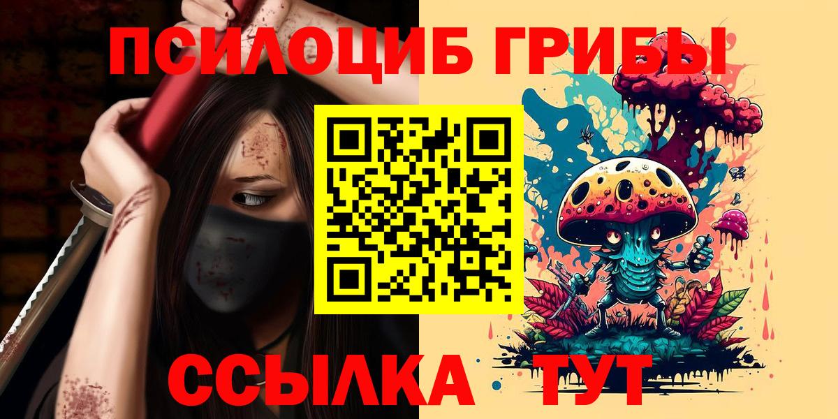 Галлюциногенные грибы Cubensis Кунгур