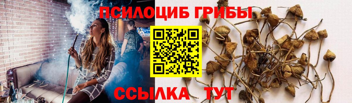 Галлюциногенные грибы Psilocybine cubensis  Вход с VPN  Галлюциногенные грибы Psilocybine cubensis  Кунгур 