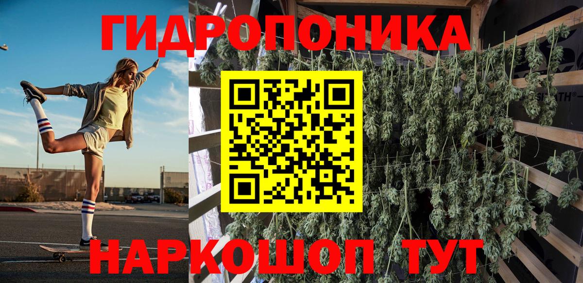 Конопля конопля  Вход с VPN  Конопля сатива  Кунгур  Конопля ГИДРОПОН 